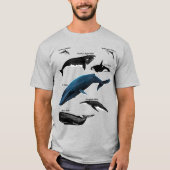T-SHIRT JOURS DE BALEINE (Devant)