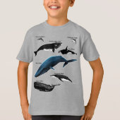 T-SHIRT JOURS DE BALEINE (Devant)