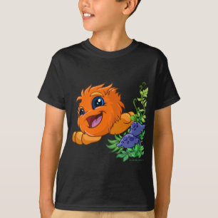 T-shirt JubJub orange heureux au central de Neopia