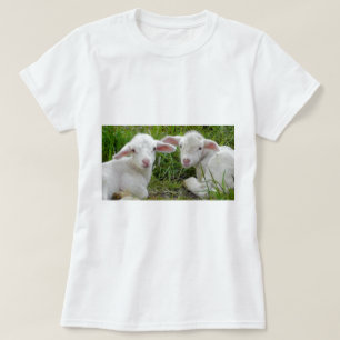 T-shirt Jumeau agneau bébé animal pense à vous