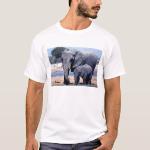 T-SHIRT JUSTE ÉLÉPHANTS