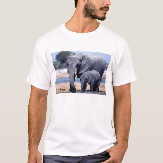 T-SHIRT JUSTE ÉLÉPHANTS (Devant)