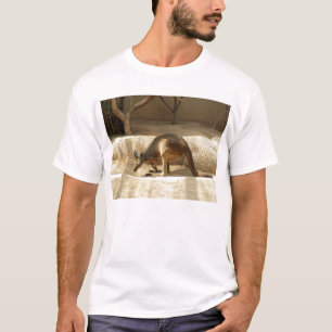 T-shirt Kangaroo