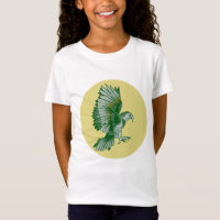 Kea New Zealand Bird