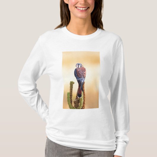 T-shirt Kestrel, Falco sparverius, Native de US & Canada (Devant)