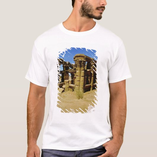 T-shirt Kiosque de Meroitic (Devant)