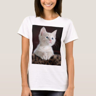 T-shirt Kitten blanc vulnérable