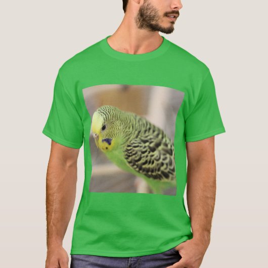 T-shirt Kiwi (Devant)