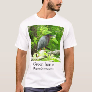 T-shirt KK - Héron vert
