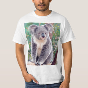T-shirt Koala australien