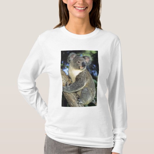 T-shirt Koala, Phascolarctos cinereus), Australie, (Devant)