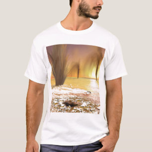 T-shirt La calotte glaciaire polaire du sud martienne