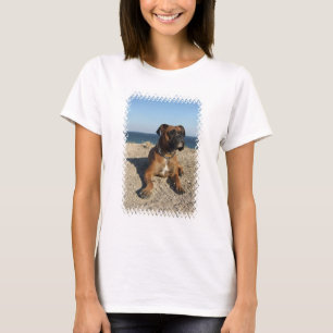 T-shirt La chemise de la longue femme de douille de chien