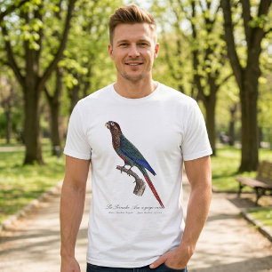 T-shirt La conure emmaillotée, Pyrrhura Picta
