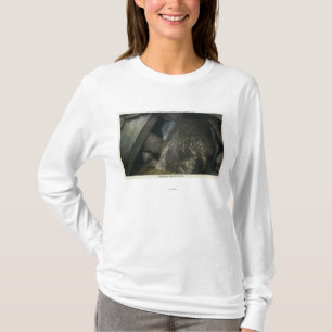 T-shirt La moitié cachée tombe vue de jugement Hall de