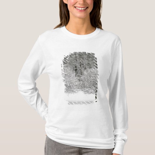 T-shirt La neige a couvert le paysage (Devant)