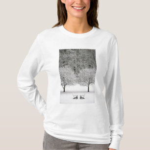 T-shirt La neige a couvert le paysage