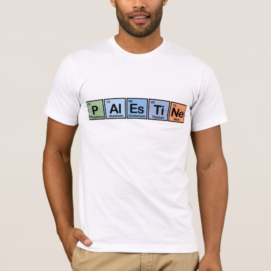 T-shirt La Palestine a fait des éléments (Devant)
