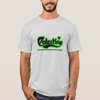 T-shirt la Palestine probablement