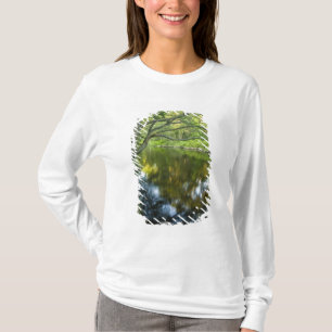 T-shirt La rivière Taunton à Bridgewater,