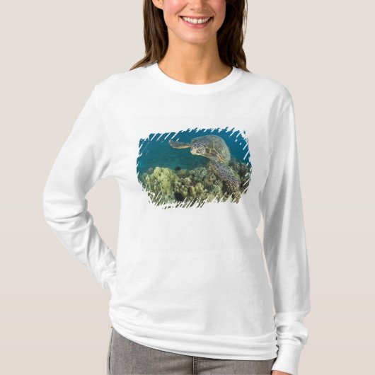 T-shirt La tortue verte, (Chelonia mydas), est le (Devant)
