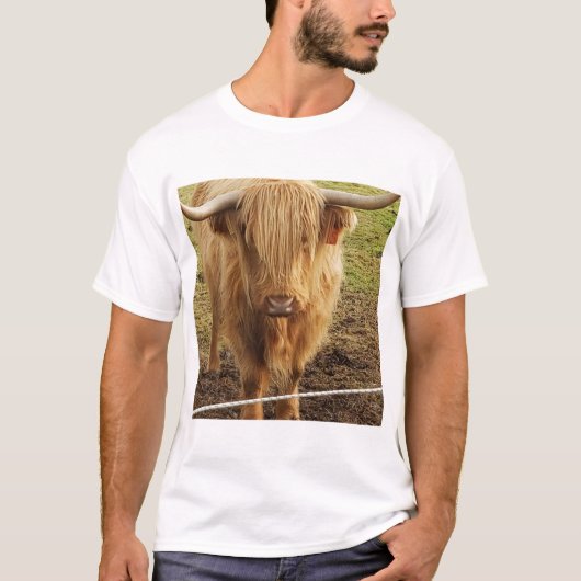 T-shirt La vache des Highlands (Devant)