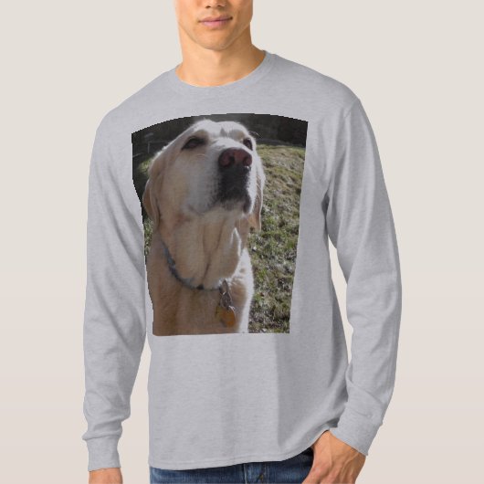 T-SHIRT LABRADOR JAUNE (Devant)
