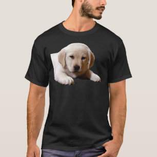 T-shirt Labrador Nap Time