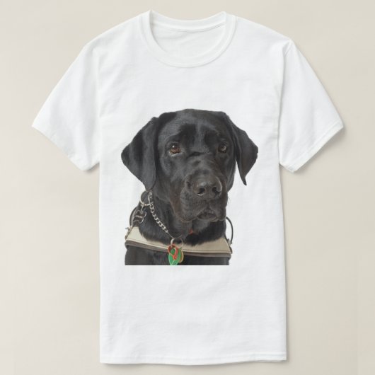 T-shirt Labrador Retriever noir (Design devant)