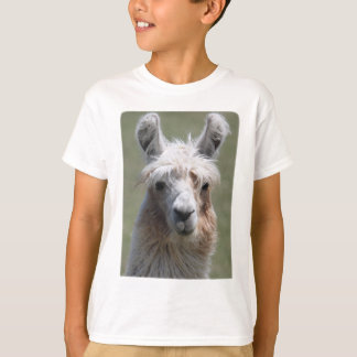 T-shirt Lama