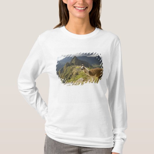 T-shirt Lamas et un regard sur Machu Picchu, (Devant)