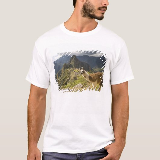 T-shirt Lamas et un regard sur Machu Picchu, (Devant)