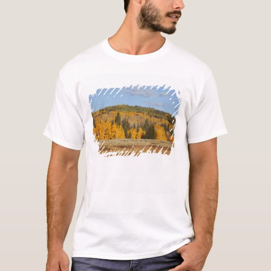 T-shirt Lambert Hollow, trembles (Devant)