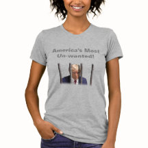 L'Amérique la plus indésirable