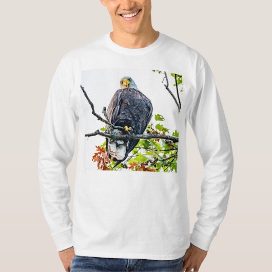 T-shirt L'Amérique, le grand aigle à tête blanche, regarde (Devant)