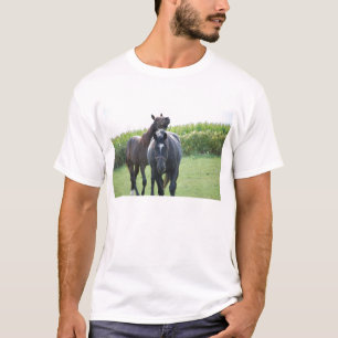T-shirt L'amour du cheval