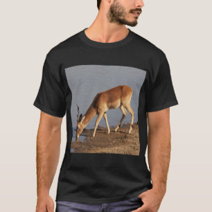 T-shirt L'antilope d'Impala en train de boire à la photo d
