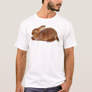 T-shirt Lapin Brun