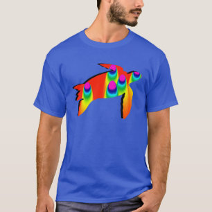 T-SHIRT L'ARC-EN-CIEL DE TORTUE