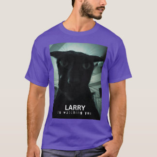 T-shirt LARRY vous regarde cadeau drôle
