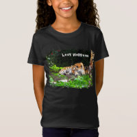 Lazy arrive le tigre de Sibérie