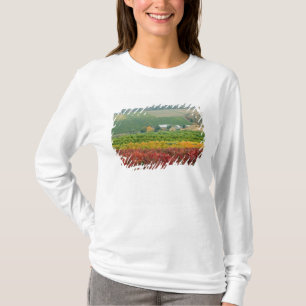 T-shirt Le brouillard se glisse sur le Gehring Brothers Wi