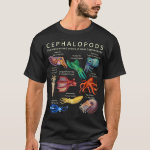 T-shirt Le céphalopode, le calmar et le Nautil