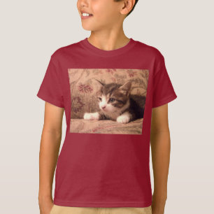 T-shirt Le chaton cardinal badine la chemise