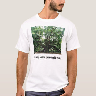 T-shirt le chêne d'ange, des glands minuscules, cultivent