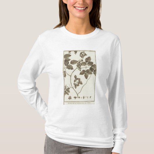 T-shirt Le Chili 3 (Devant)