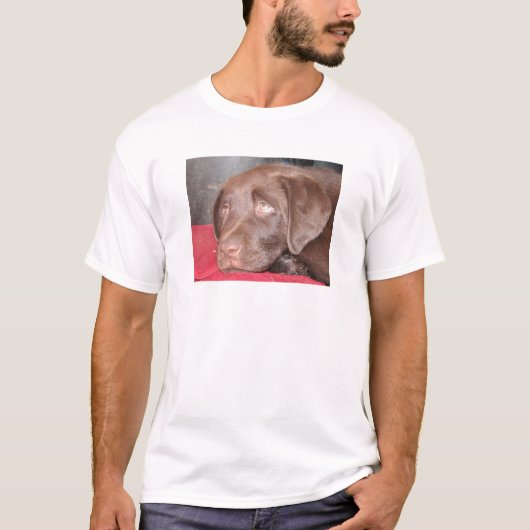 T-shirt Le chiot de Labrador de chocolat considère (Devant)