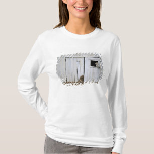 T-shirt Le collage de cheval dirigent la fenêtre de grang