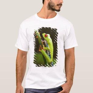 T-shirt Le Costa Rica, Monteverde, grenouille d'arbre aux