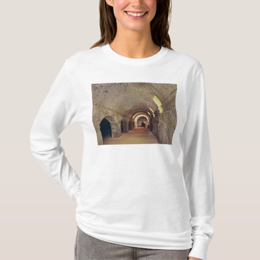 T-shirt Le crypto-porticus (Devant)